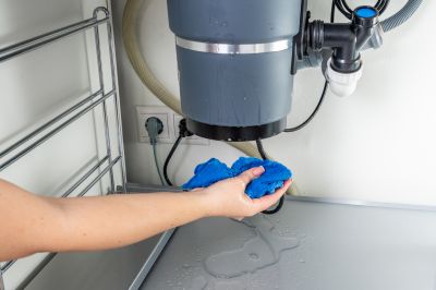 Garbage Disposal Replacement detail